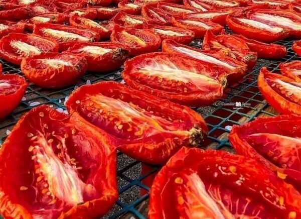 طماطم مجففه بالشمس Sun dried tomatoes - Image 2