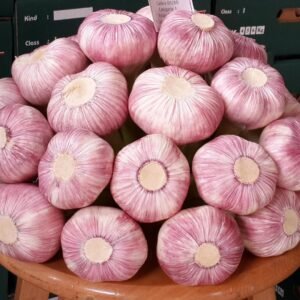 ثوم احمر فريش Fresh red garlic