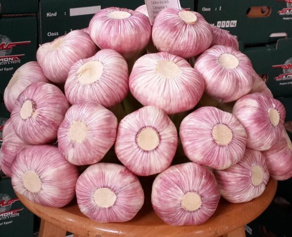 ثوم احمر فريش Fresh red garlic