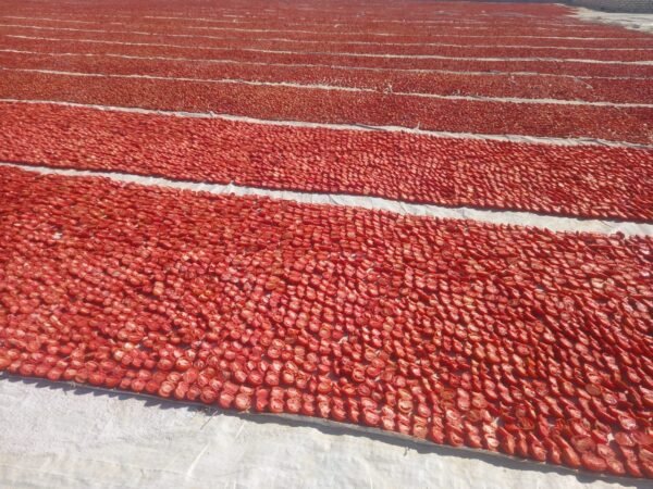 طماطم مجففه بالشمس Sun dried tomatoes - Image 3